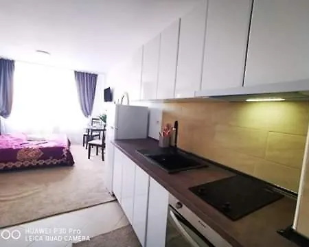 Idea Διαμέρισμα Τιμισοάρα